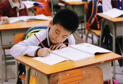 江蘇全面啟動(dòng)課后服務(wù)與家庭教育咨詢，為家長減負(fù)解憂